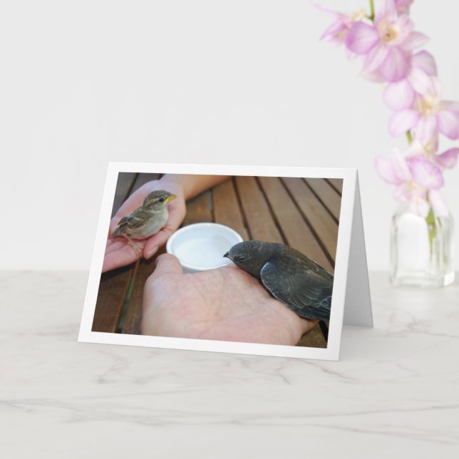 Cartão Pássaro Swift e Pássaro Sparrow nas mãos (Orquídea)