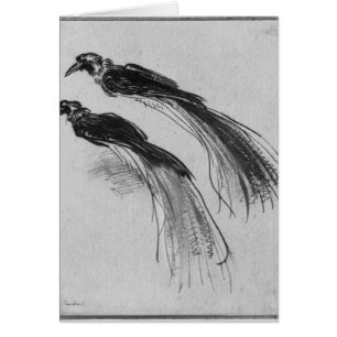 Cartão Pássaros
