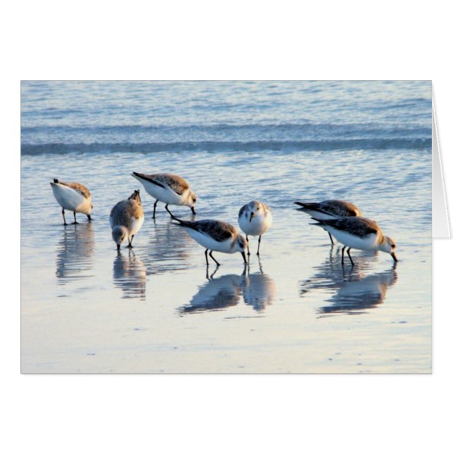 Cartão Pássaros (Frente Horizontal)