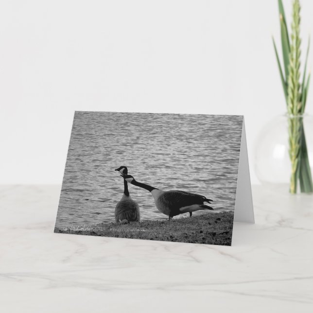 Cartão Pássaros B&W do amor (Frente)