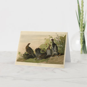 Cartão Pássaros da América do Grouse Audubon, em Spruce