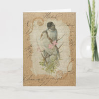 Pássaros de Amor Vitorianos Canção de Amor Frances