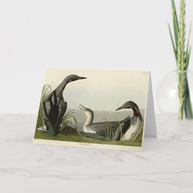 Cartão Pássaros de Audubon com trote negra (Frente)