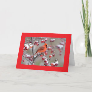 CARTÃO PÁSSAROS DE UMA PENA/CELEBRAÇÃO JUNTOS NO ANIVERSÁ