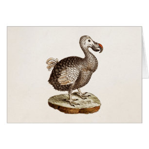 Cartão Pássaros do Dodo dos 1700s da ilustração do