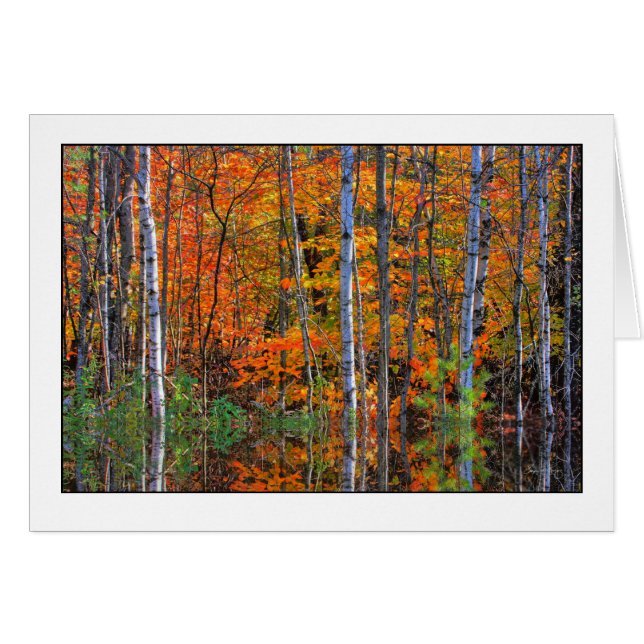 Cartão Pássaros em Highwater (Frente Horizontal)