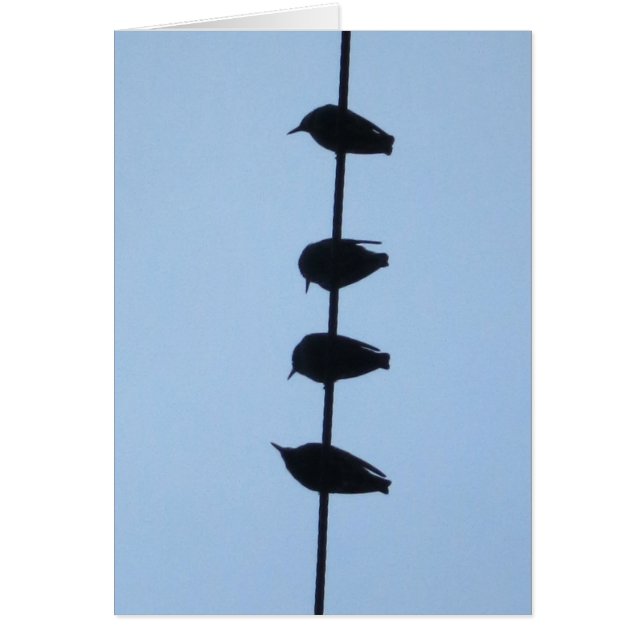 Cartão Pássaros em uma linha 1 (Frente)