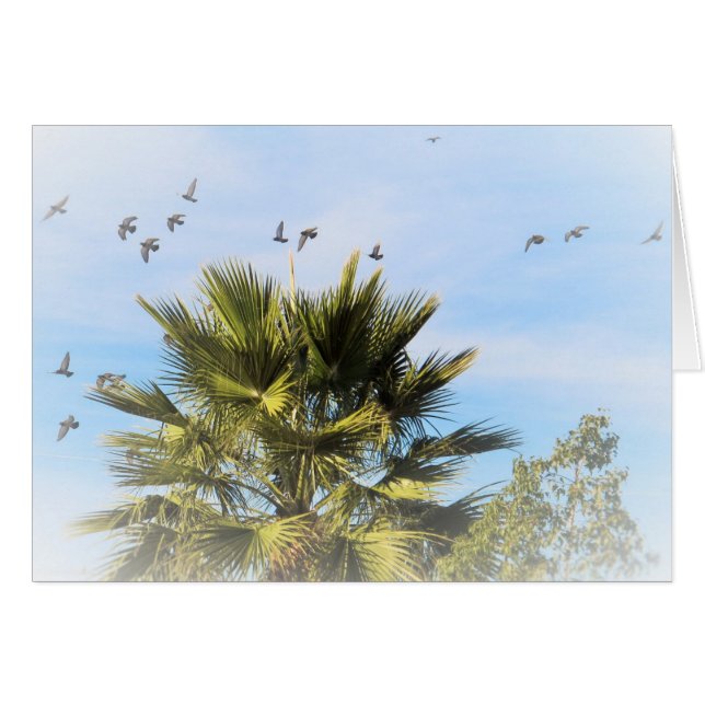 Cartão Pássaros em vôo (Frente Horizontal)