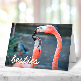 Cartão Pássaros Flamingo Rosa Fotografias Besties Na moda
