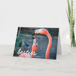 Cartão Pássaros Flamingo Rosa Fotografias Besties Na moda