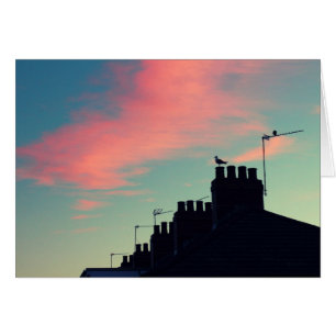 Cartão Pássaros primitivos