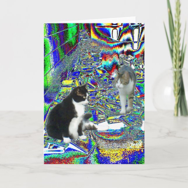 Cartão Passe de Hall na Fairy Land School (Frente)