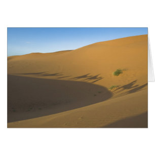 Cartão Passeio na montanha do camelo