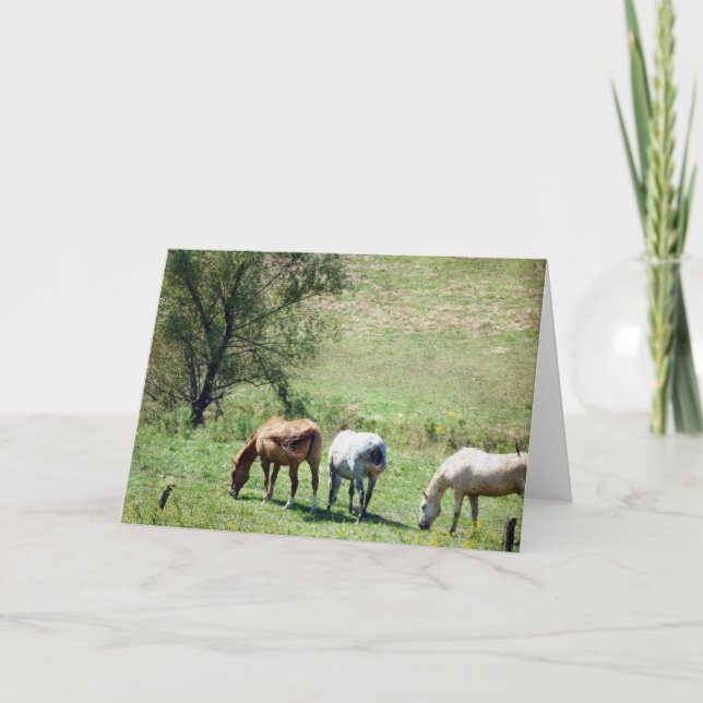 Cartão Pastagem de Cavalo (Frente)