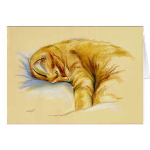 Cartão Pastel Gato - Comprimido Laranja Dose Relaxada