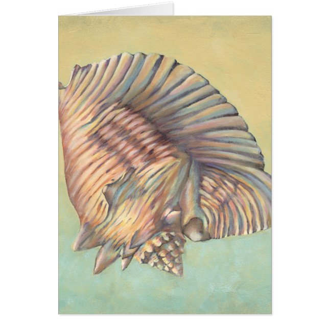 Cartão Pastel Grande Shell de Conch (Frente)