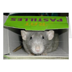 Cartão Pastilha do rato