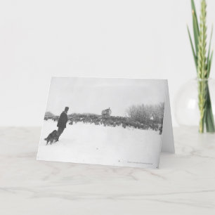 Cartão Pastor e cão no acampamento de ovelhas