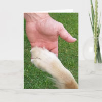 Pata de Cachorro na Mão de Aniversário