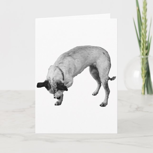 Cartão Pata de Coy, Desejos Quentes (Frente)