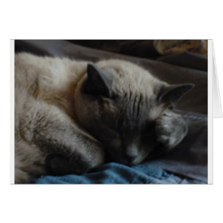 Cartão Pata de Elliott