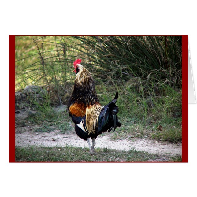 Cartão Patch Work Rooster (Frente Horizontal)