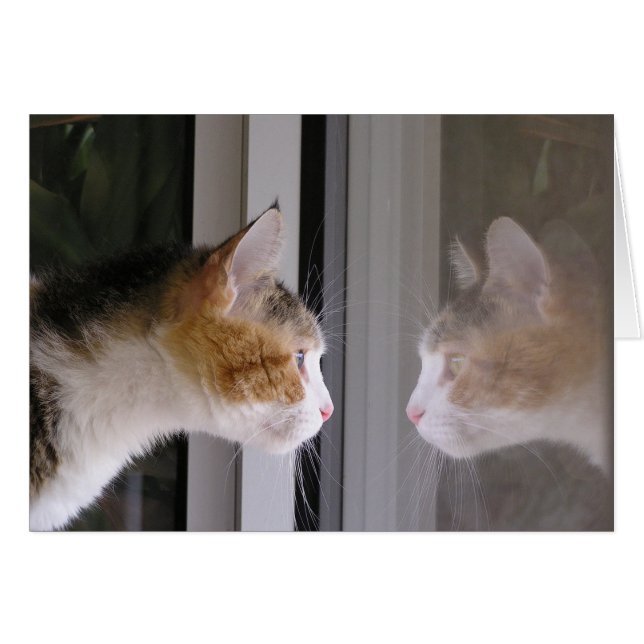 Cartão Patches (Frente Horizontal)