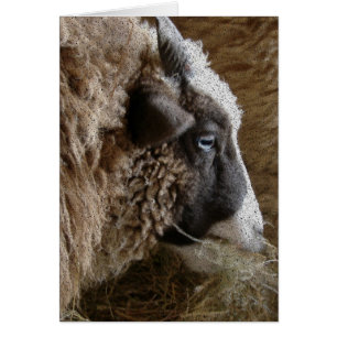 Cartão Patchwork Amy