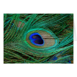 Cartão Patilha Azul Indiana