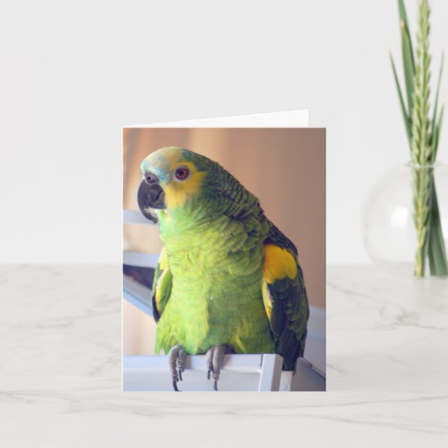 Cartão patinete (Frente)