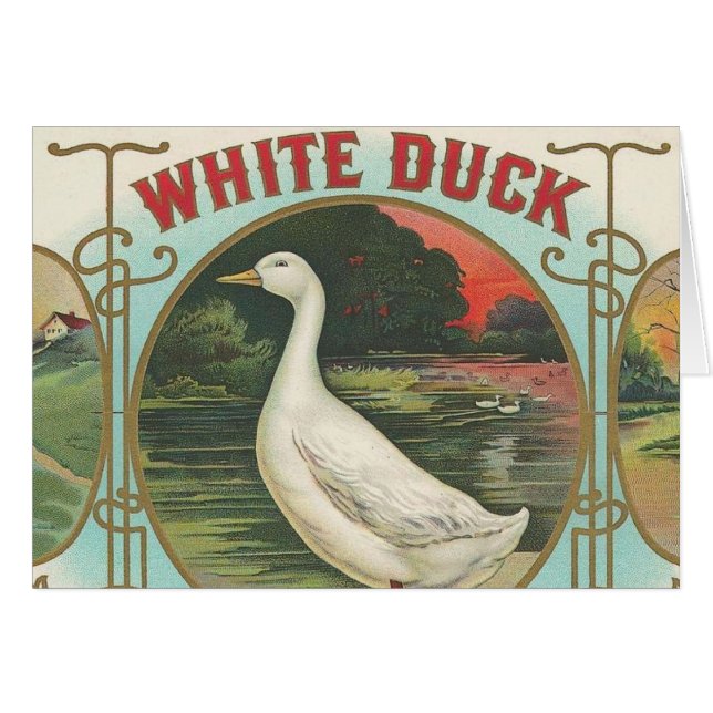 Cartão Pato branco (Frente Horizontal)