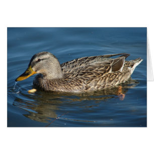 Cartão Pato com amendoim
