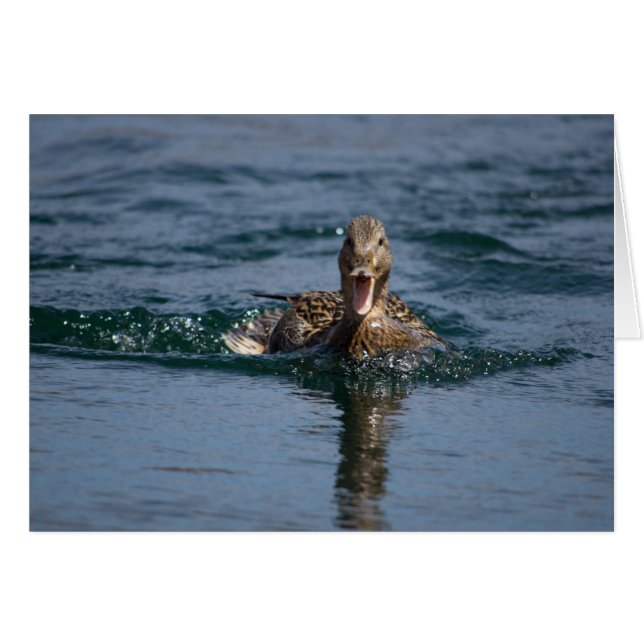 Cartão Pato com bico aberto (Frente horizontal)