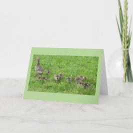 Cartão Pato com Patinhos