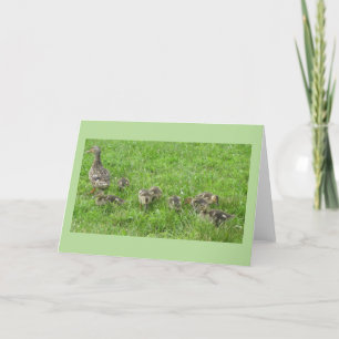 Cartão Pato com Patinhos