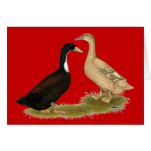 Cartão Pato de afinação híbrido