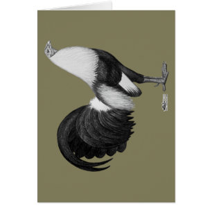 Cartão Pato De Cinza De Gamecock