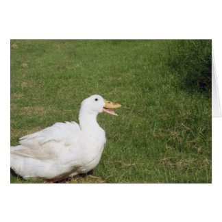 Cartão Pato de pequim com folha aberta sobre grama verde