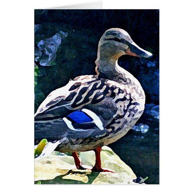 Cartão Pato fêmea que mantem um olho em você (Frente)