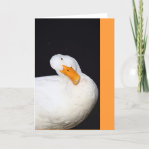 Cartão Pato Fofo