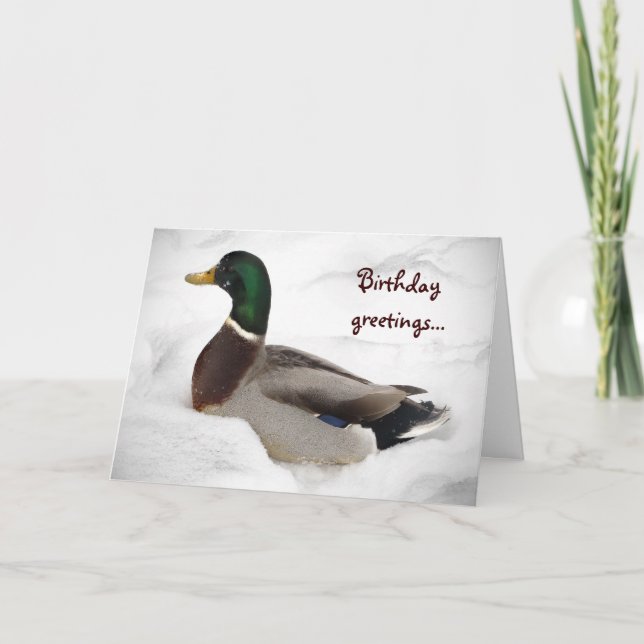 Cartão Pato no aniversário da neve (Frente)