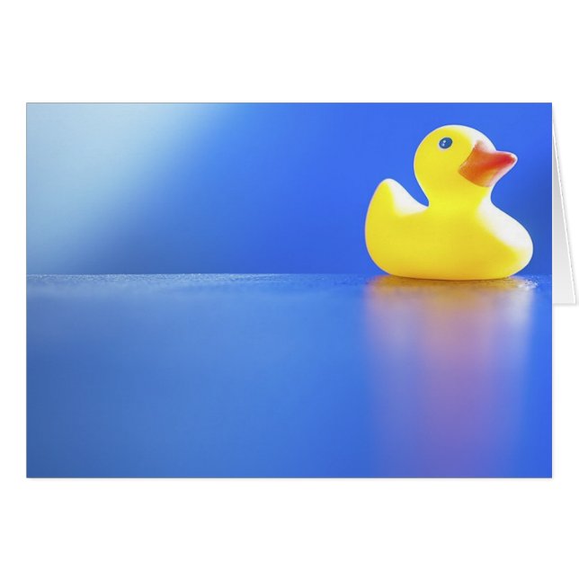 Cartão Pato no azul (Frente Horizontal)