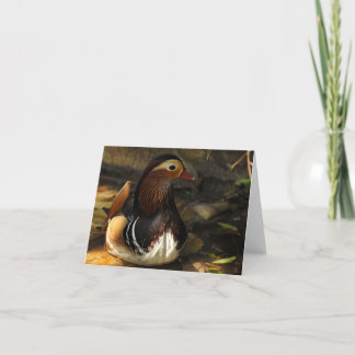 Cartão Pato Notecard