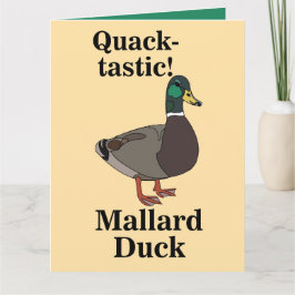 Cartão Pato Quack-Tástico Pato-Selva