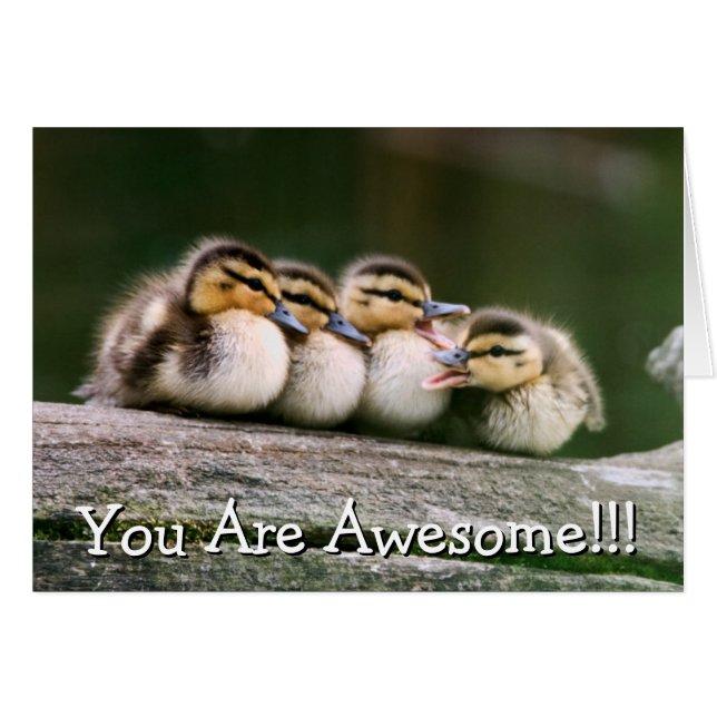 Cartão Patos Bebês (Frente Horizontal)