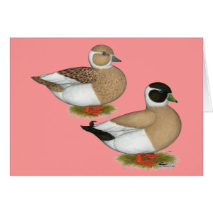 Cartão Patos: Chamadas Lápidas