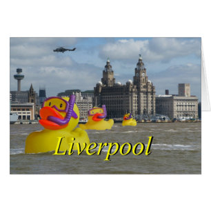 Cartão Patos De Borracha No Mersey