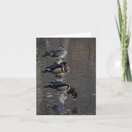Cartão Patos de madeira em Branch