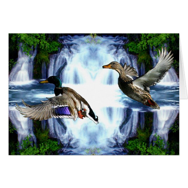 Cartão Patos do pato selvagem (Frente Horizontal)