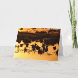 Cartão Patos em Daybreak